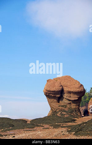 Canada, New Brunswick, Hopewell Cape, Baia di Fundy. Hopewell rocce a bassa marea (aka vaso rocce). Foto Stock