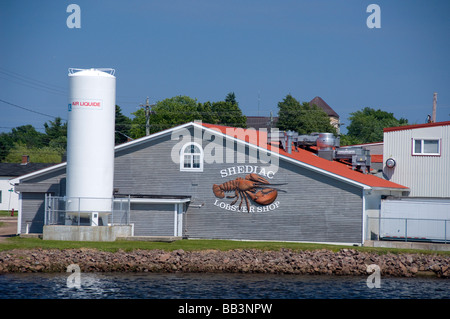 Canada, New Brunswick, Shediac. Aragosta Shediac Shop. Foto Stock