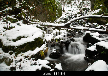 Fame Creek vicino a Sandy, Columbia River Gorge National Scenic Area, Oregon, Stati Uniti d'America (RF) Foto Stock