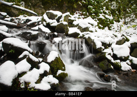 Fame Creek vicino a Sandy, Columbia River Gorge National Scenic Area, Oregon, Stati Uniti d'America (RF) Foto Stock