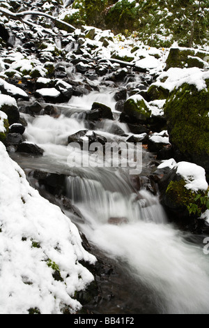 Fame Creek vicino a Sandy, Columbia River Gorge National Scenic Area, Oregon, Stati Uniti d'America (RF) Foto Stock