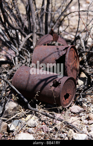 Antique lattine di lattina, Arizona meridionale Foto Stock