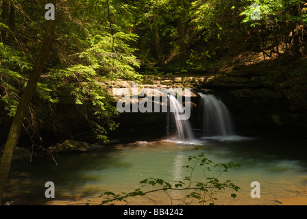 Stati Uniti d'America, TN, Sud Cumberland parco dello stato. Fiery ventriglio Trail, Buco Blu Falls è una delle numerose cascate su questo sentiero panoramico. Foto Stock