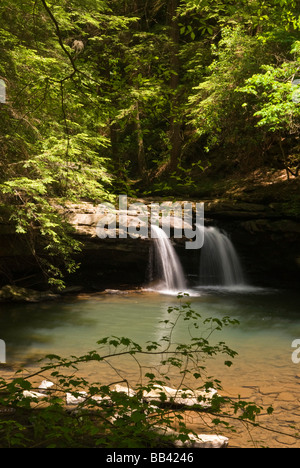 Stati Uniti d'America, TN, Sud Cumberland parco dello stato. Fiery ventriglio Trail, Buco Blu scende Foto Stock