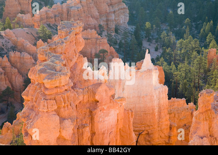 UT, Parco Nazionale di Bryce Canyon, Queens Garden, Queen Victoria formazione Foto Stock