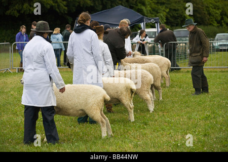 Il Cotswold Show 2008, Cirencester, Gloucestershire, Regno Unito Foto Stock