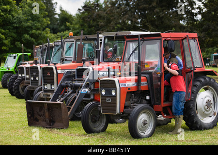 Il Cotswold Show 2008, Cirencester, Gloucestershire, Regno Unito Foto Stock