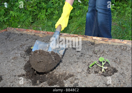 Scavare da pala Foto Stock