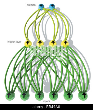 In un semplice feedforward rete neurale, tutti i segnali il flusso in una direzione, dall'ingresso all'uscita. Foto Stock