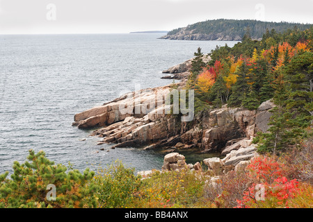 Vista di una costa rocciosa in colori autunnali al Parco Nazionale di Acadia nel Maine Foto Stock
