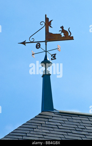 Gatto e luna weathervane - Indre-et-Loire, Francia. Foto Stock