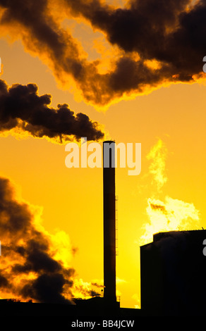 Fumatori fumaiolo in fabbrica al tramonto, Alsazia, Francia, Europa Foto Stock