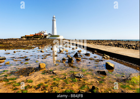 St Mary's Island e il faro visto dal litorale Foto Stock