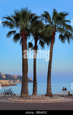 Giovane sotto un paio di palme sulla Promenade des Anglais a Nizza, in Francia sulla Costa Azzurra Foto Stock