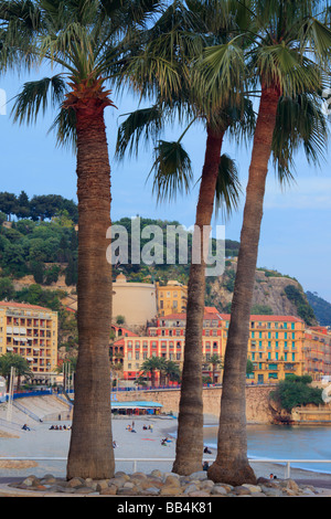 Palme sulla Promenade des Anglais a Nizza, in Francia sulla Costa Azzurra Foto Stock