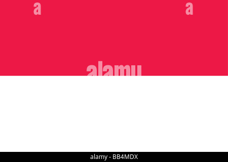 Bandiera di Indonesia Foto Stock