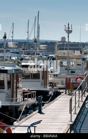 Salterns Marina, il porto di Poole, Dorset, England, Regno Unito Foto Stock