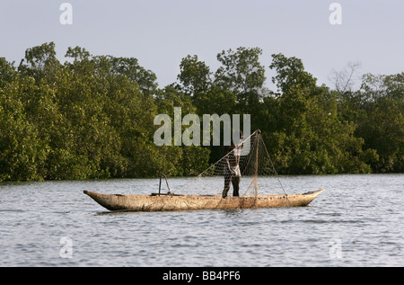 Senegal: pescatore tirando la rete nella sua piroga sul fiume Casamance Foto Stock