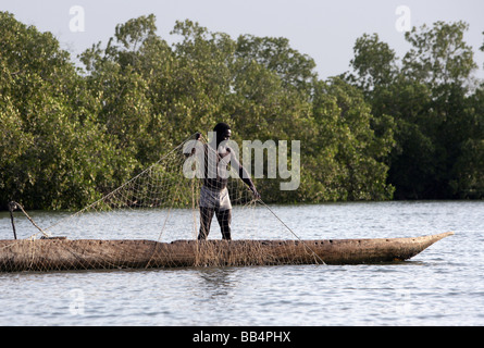 Senegal: pescatore tirando la rete nella sua piroga sul fiume Casamance Foto Stock