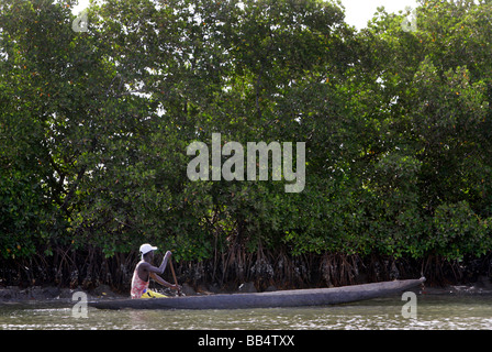 Senegal: pescatore nella sua piroga sul fiume Casamance Foto Stock