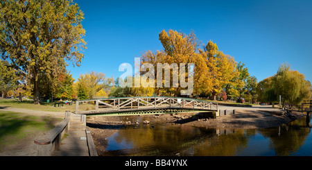 Autunno in luminose Foto Stock