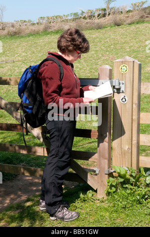 Femmina matura walker mappa lettura del Wessex Ridgeway Trail nel Dorset Foto Stock