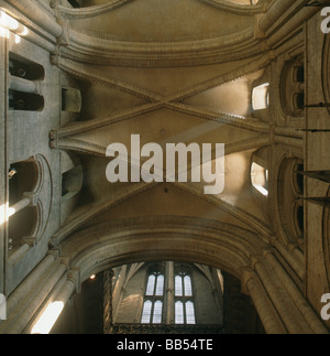 La Cattedrale di Durham del transetto sud vaulting Foto Stock