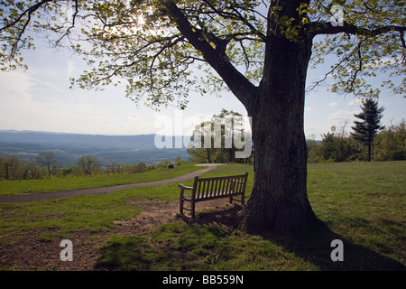 Primavera vista tramonto incorniciato da un albero di quercia al alterate Ridge Visitor Center sulla Skyline Drive nel Parco Nazionale di Shenandoah Foto Stock