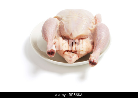 Il pollo crudo su piastra Foto Stock