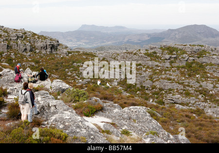 Guardando verso sud dalla cima della Table Mountain a Cape Town, Sud Africa Foto Stock