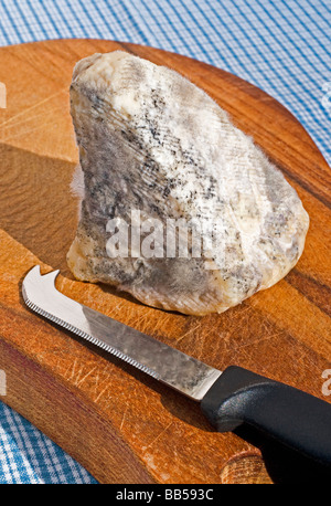Vecchio, disco, ammuffito, fatti a mano piramide di formaggio di capra / fromage de chevre, Francia. Foto Stock