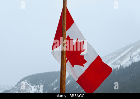 Il Maple Leaf bandiera nazionale del Canada ha adottato nel 1965 oscilla nella neve e vento al Lago Louise Mountain Resort Foto Stock