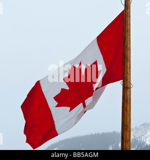 Il Maple Leaf bandiera nazionale del Canada ha adottato nel 1965 oscilla nella neve e vento al Lago Louise Mountain Resort Foto Stock