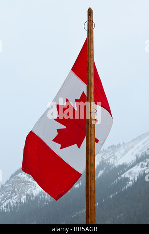 Il Maple Leaf bandiera nazionale del Canada ha adottato nel 1965 oscilla nella neve e vento al Lago Louise Mountain Resort Foto Stock