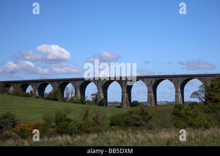 Craigmore viaduct vicino a newry contea di Down il viadotto porta nord sud Belfast a Dublino la linea ferroviaria Foto Stock