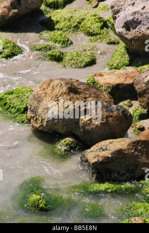 Primo piano di onde rizzatura contro le rocce in Alessandria d'Egitto Foto Stock