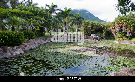 Laghetto ornamentale Nevis Giardini Botanici Nevis isola dei Caraibi Foto Stock