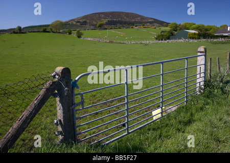 Cancello a terreno coltivato sotto Slieve Gullion mountain nell'anello di gullion sud della contea di Armagh nell'Irlanda del Nord Regno Unito Foto Stock