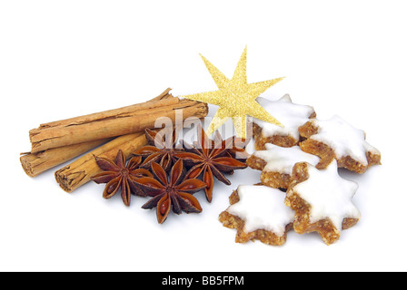 Zimtstern a forma di stella biscotto cannella 04 Foto Stock