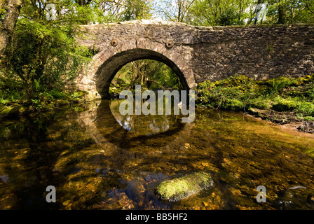 Riflessioni del ponte Meavy,Burrator, Parco Nazionale di Dartmoor.Devon. Foto Stock