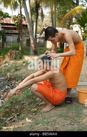 Il debuttante i monaci buddisti si alternano a radere le loro teste durante il tempo di balneazione nel loro Luang Prabang tempio Foto Stock