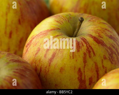 mele Cox Foto Stock