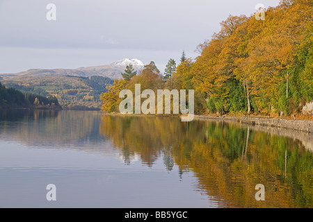 I colori autunnali nel Trossachs Loch Ard cercando di Ben Lomond Perthshire Scozia Novembre 2008 Foto Stock