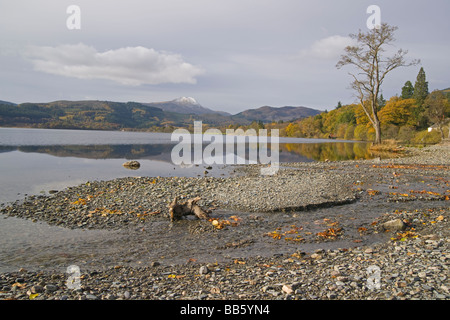 I colori autunnali nel Trossachs Loch Ard cercando di Ben Lomond Perthshire Scozia Novembre 2008 Foto Stock