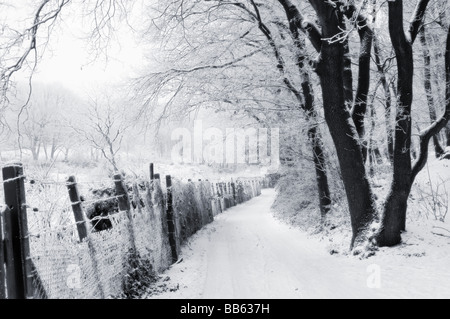 Bianco e nero scena invernale di un percorso attraverso il bosco innevato Foto Stock