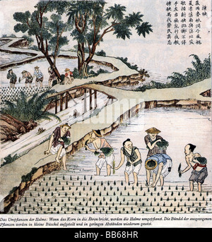 Geografia / viaggio, Cina, agricoltura, raccolto di riso, stampa colorata, storico, storico, Asia, agricoltore, lavoratore sul campo, persone, Foto Stock
