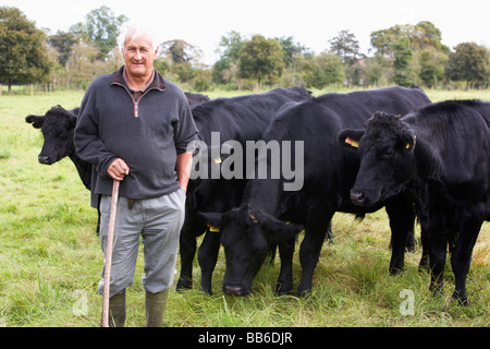 Lavoratore di azienda agricola con allevamento di vacche Foto Stock