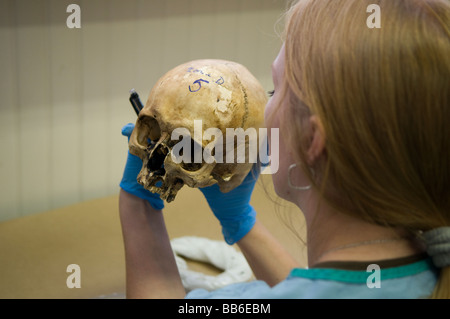 Archeologo forense che esamina un cranio umano presso la struttura mortuaria della commissione ICMP di persone scomparse dalla guerra bosniaca a Lukavac, Bosnia Foto Stock