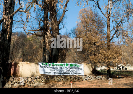 Devastazione dopo bushfires Foto Stock