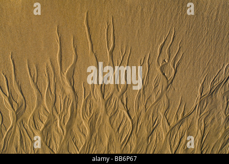 Acqua fatta patterns in spiaggia di sabbia a Kenton sul mare. Eastern Cape Province, Sud Africa Foto Stock